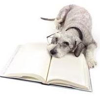 Dog Books and DVDs