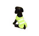 High Visibility Dog Items
