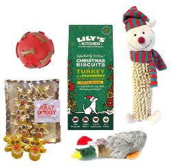Christmas Presents For Dogs