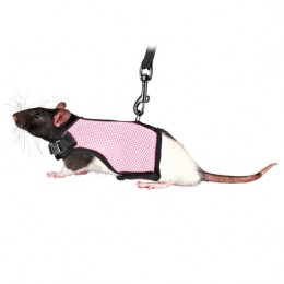 Soft Material Guinea Pig Harness With Lead