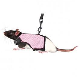 Soft Material Guinea Pig Harness With Lead *SALE*