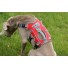 Akela Tracker Sport Dog Harness Padded & Reflective Red
