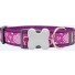Red Dingo Extra Wide Staffie Dog Collar Breezy Love Purple 40mm x 37-55cm