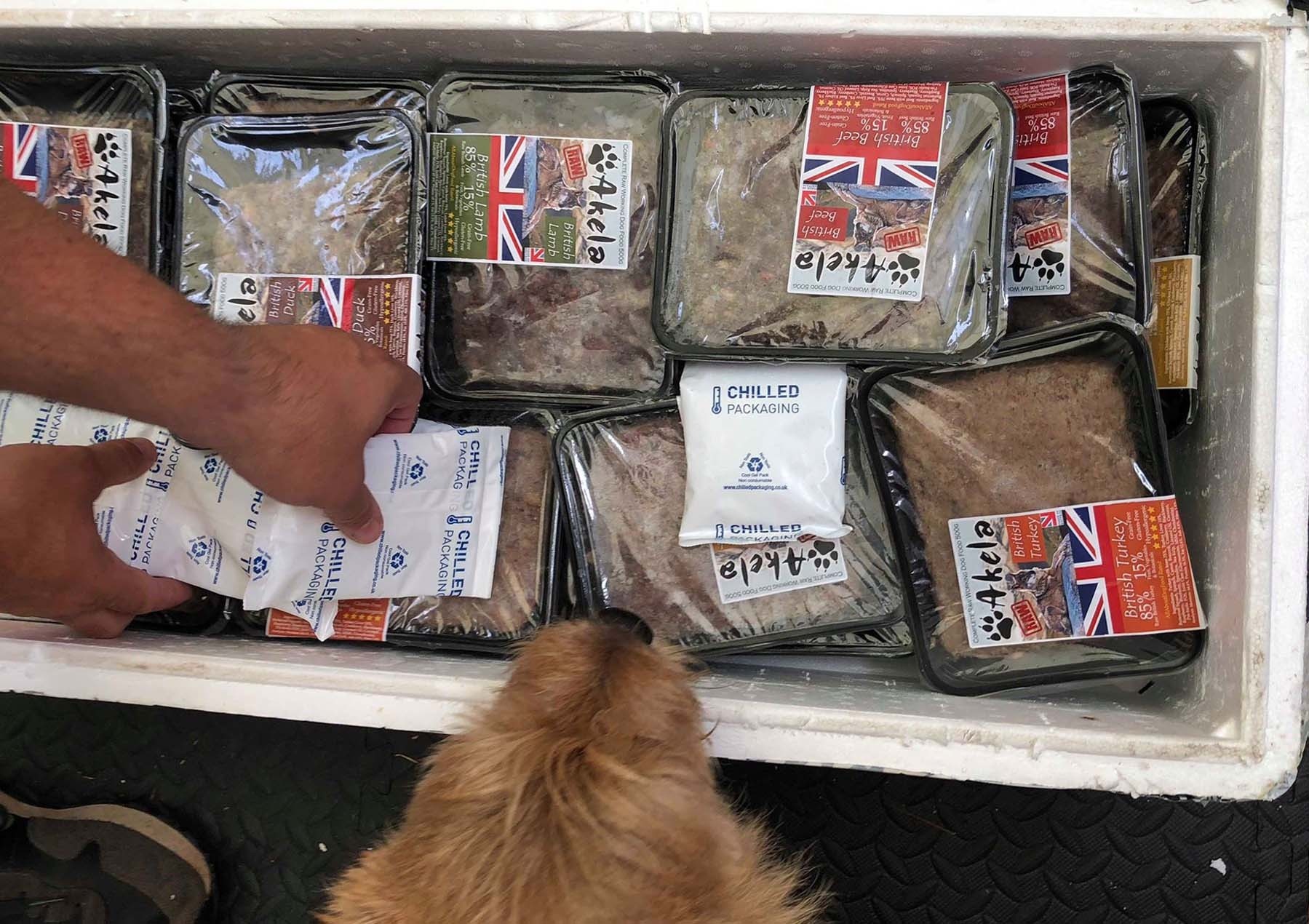 Akela Complete Raw Frozen Working Dog Food Samples Pack (1