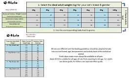 Cat Feeding Chart By Age