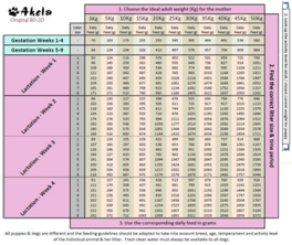 Raw Dog Food Chart