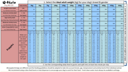 Raw Feeding Chart For Puppies